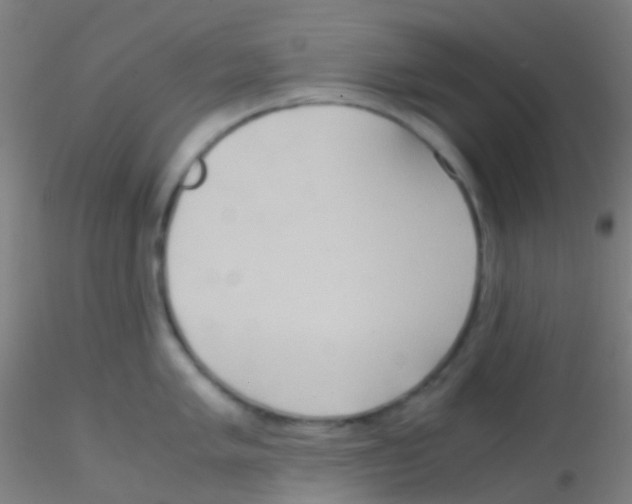 X0000115191005200911251415