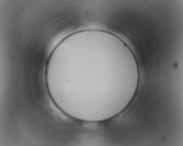 X0000115191006200911251415