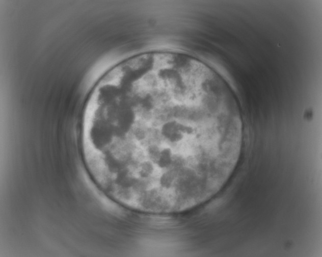 X0000115191007200911251415