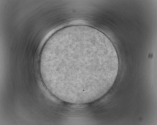 X0000115191008200911251415