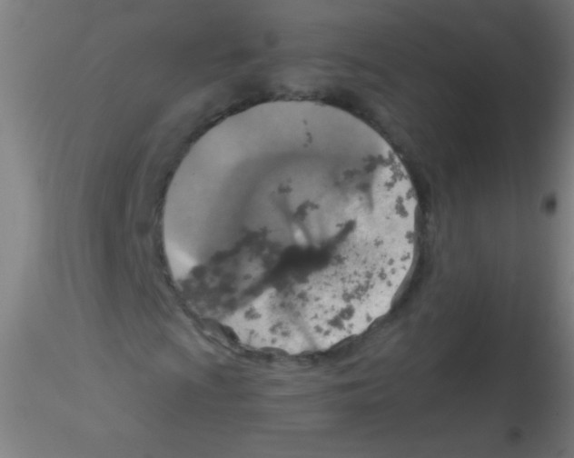 X0000115191009200911251414