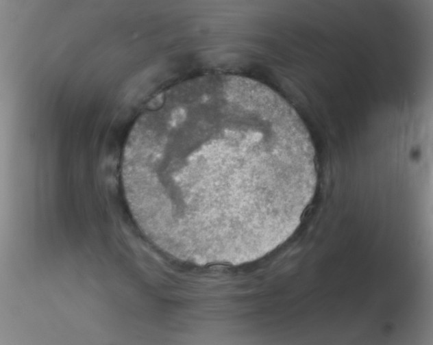 X0000115191010200911251414