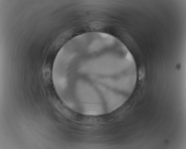 X0000115191011200911251414