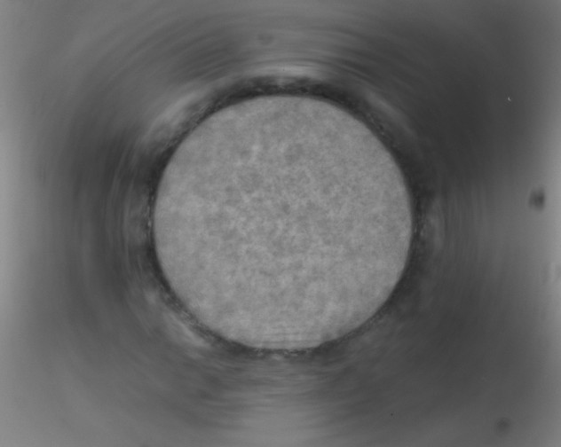 X0000115191014200911251414