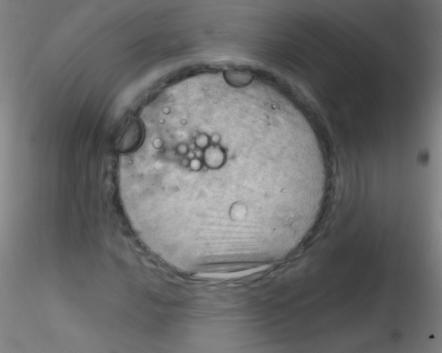 X0000115191016200911251414