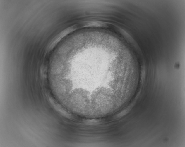 X0000115191017200911251415