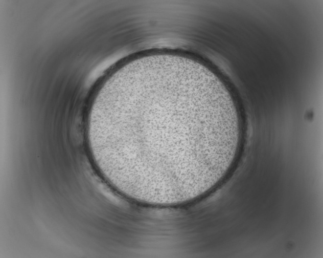 X0000115191018200911251415