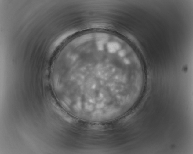 X0000115191019200911251415