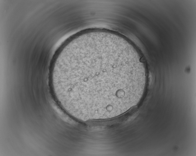 X0000115191020200911251415