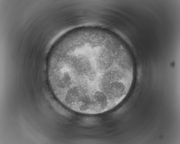 X0000115191021200911251415