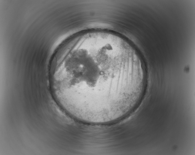 X0000115191022200911251415