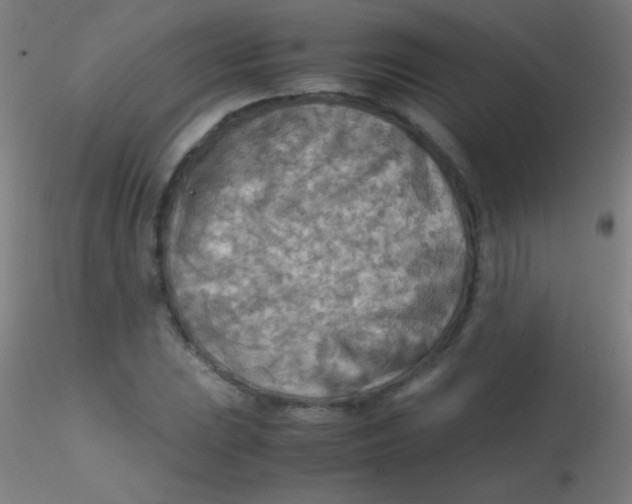 X0000115191023200911251415