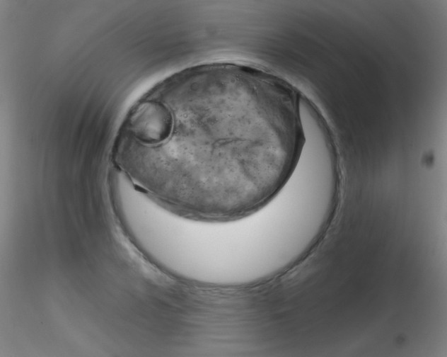 X0000115191024200911251415