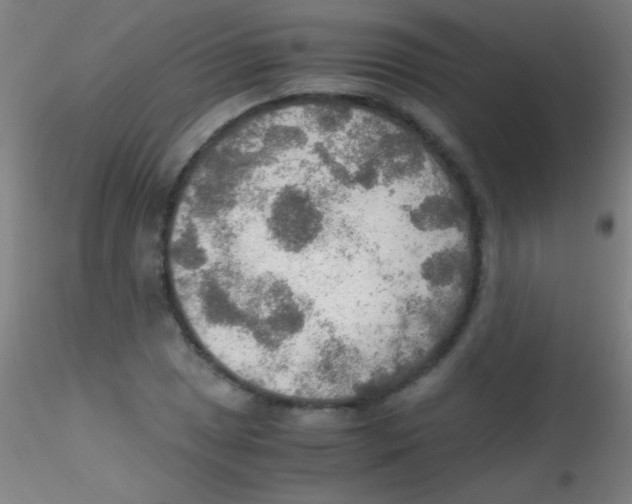 X0000115191025200911251415