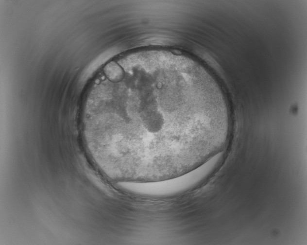 X0000115191026200911251415