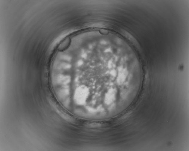 X0000115191027200911251415