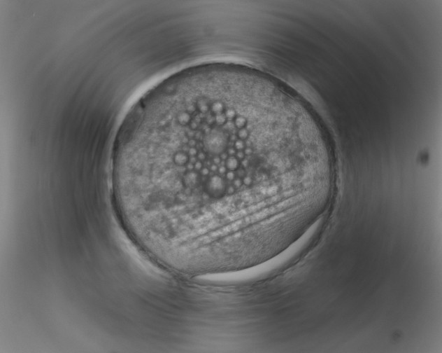 X0000115191028200911251415