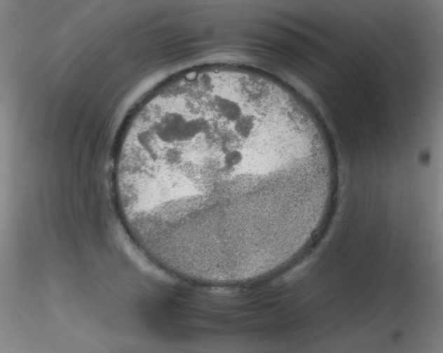 X0000115191029200911251415