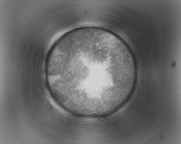 X0000115191030200911251415