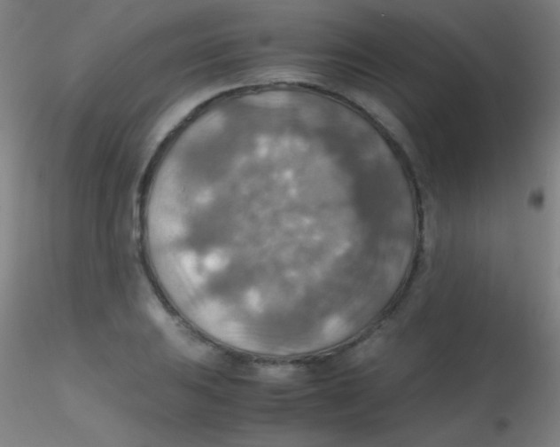 X0000115191031200911251415