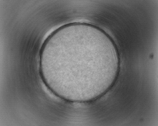 X0000115191032200911251415