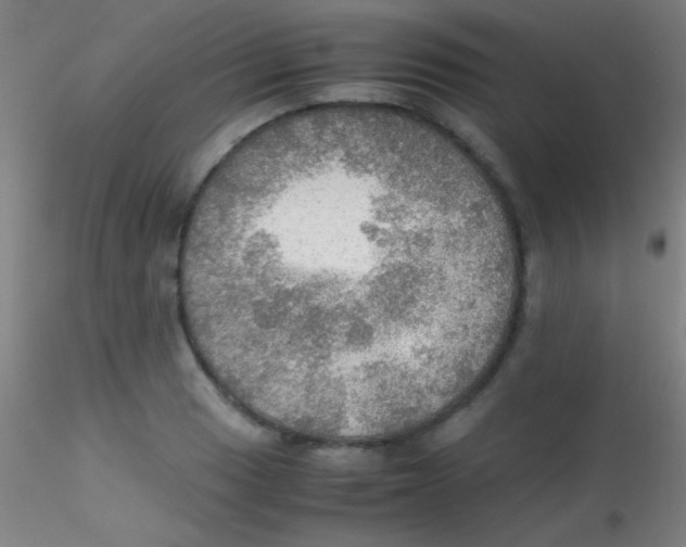 X0000115191033200911251415