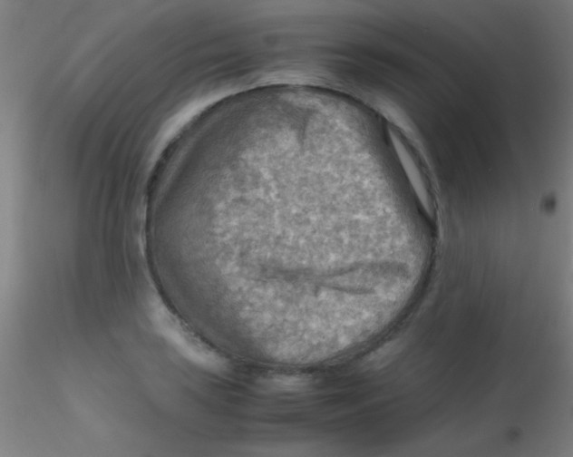 X0000115191035200911251415