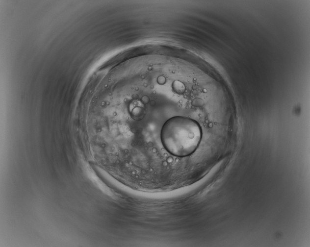 X0000115191037200911251415