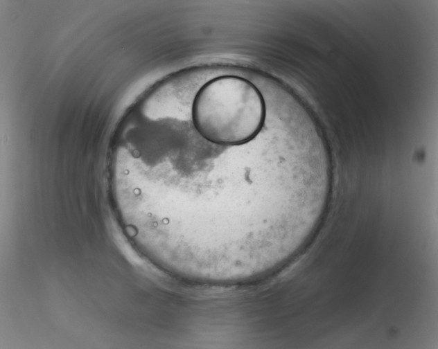 X0000115191038200911251415