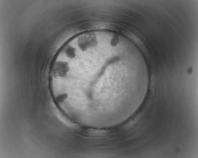 X0000115191039200911251415