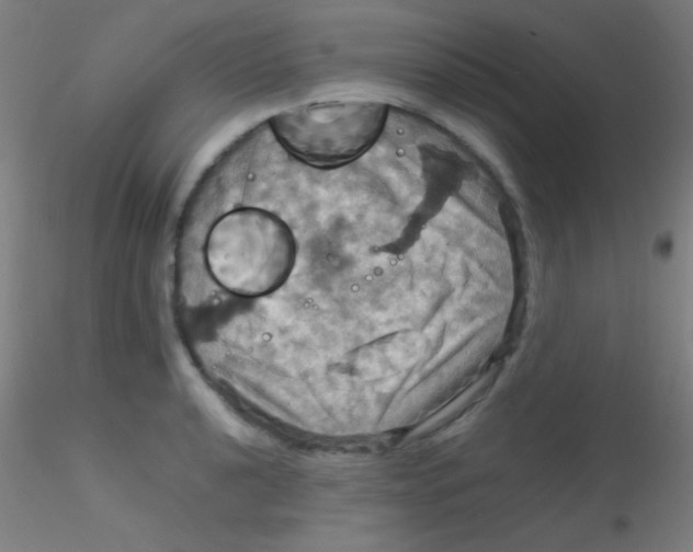 X0000115191040200911251415