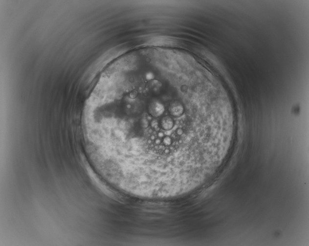 X0000115191041200911251415