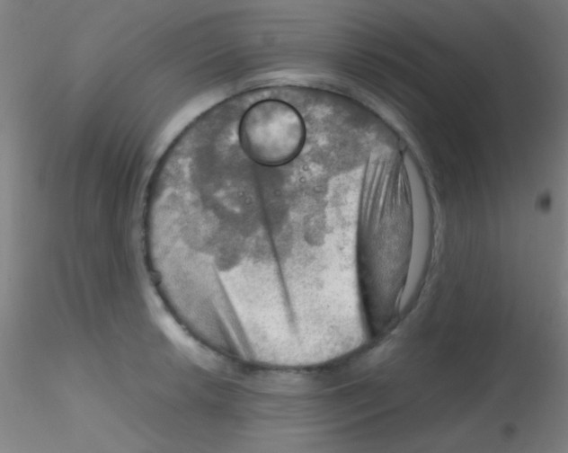 X0000115191042200911251415