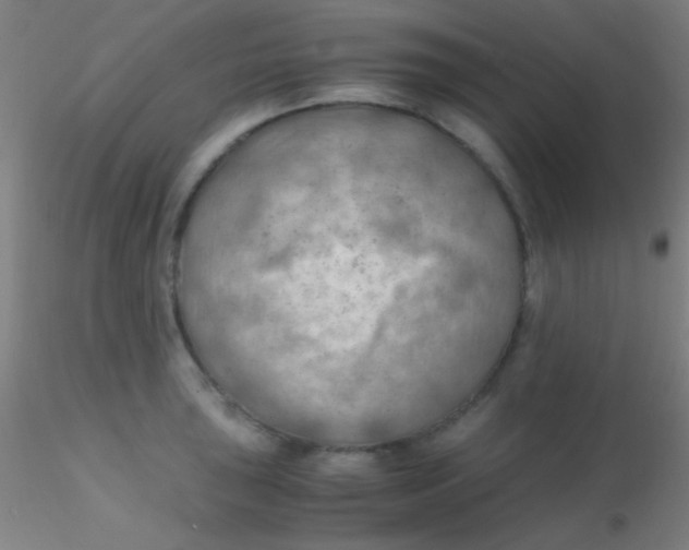 X0000115191043200911251415