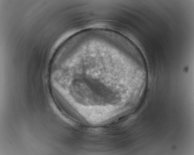 X0000115191045200911251415