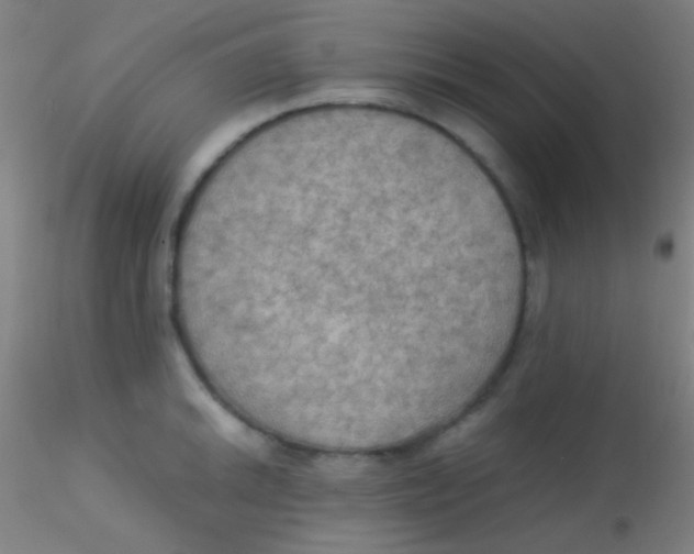 X0000115191046200911251415