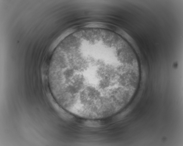 X0000115191049200911251415