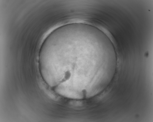 X0000115191051200911251415