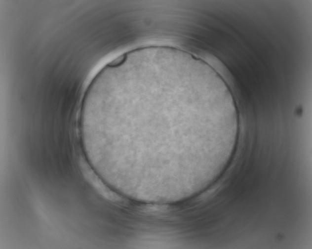 X0000115191052200911251415