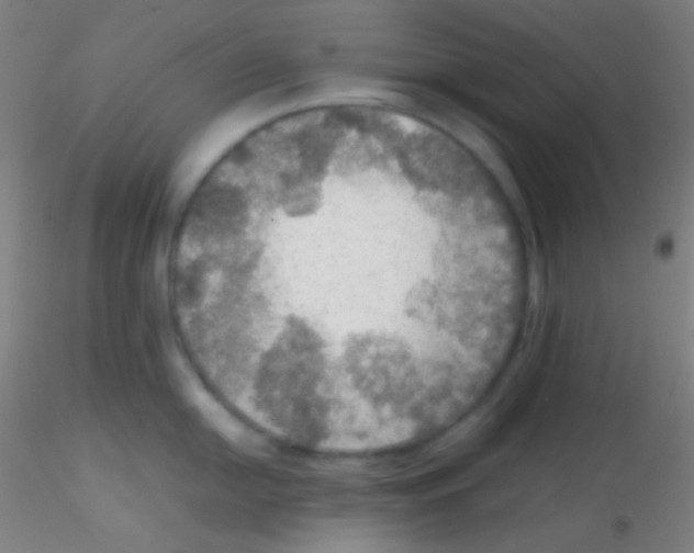 X0000115191054200911251415