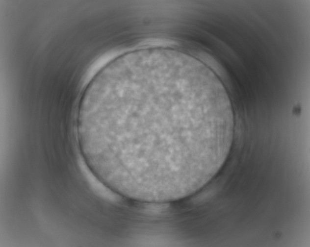 X0000115191055200911251415