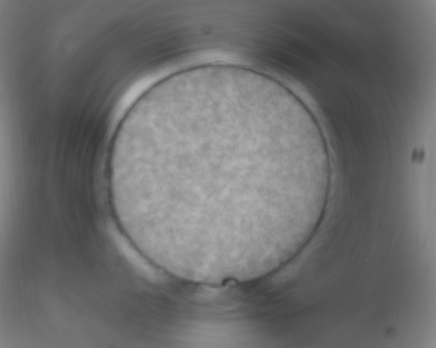 X0000115191056200911251415