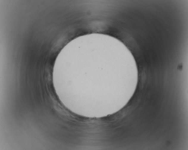 X0000115191058200911251414