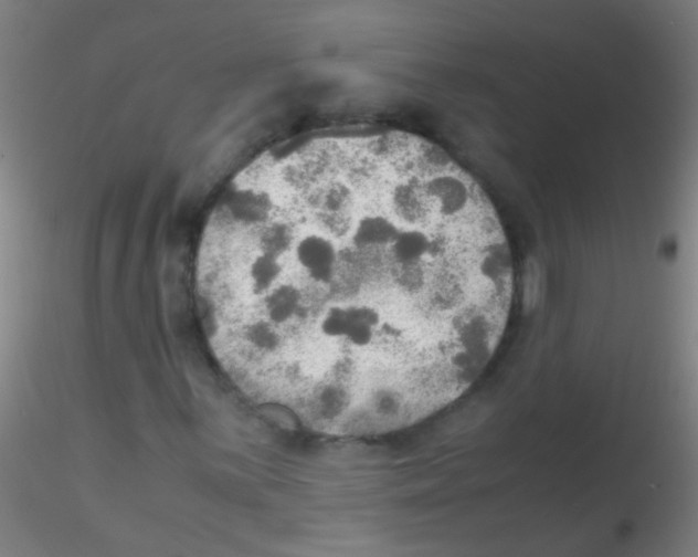 X0000115191059200911251414