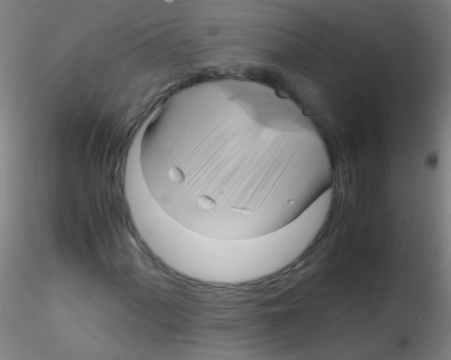 X0000115191060200911251414