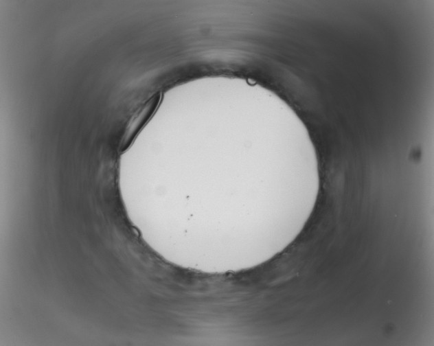 X0000115191061200911251414