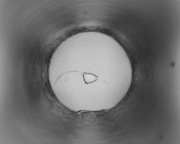 X0000115191062200911251414