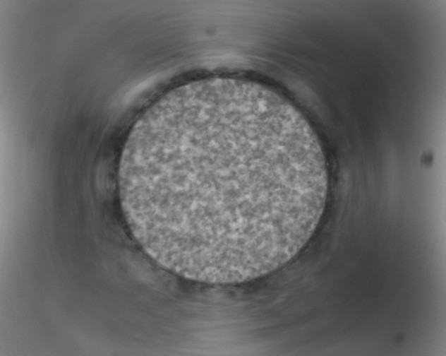 X0000115191063200911251414