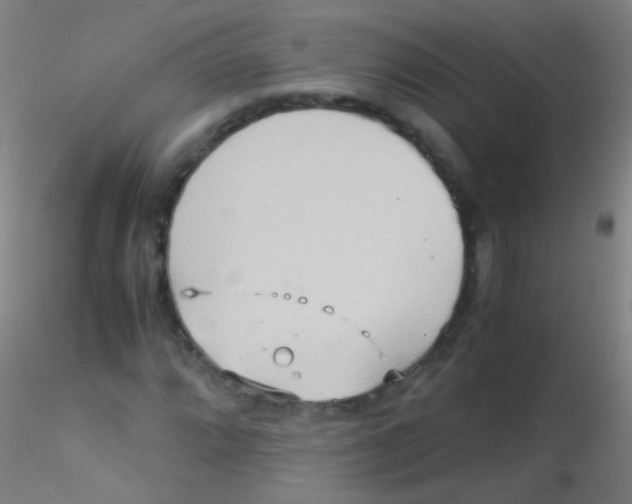 X0000115191064200911251414