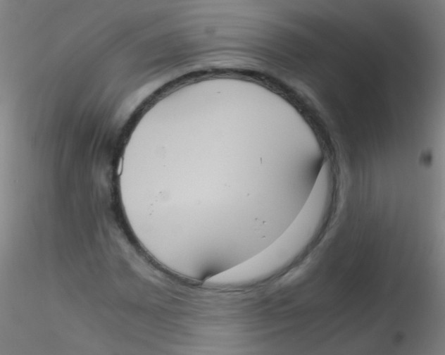 X0000115191065200911251414